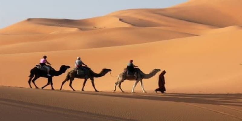 overnight camel trek over merzouga