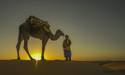 14days-grand-tour-of-morocco-experience-from-casablanca 14days-grand-tour-of-morocco-experience-from-casablanca