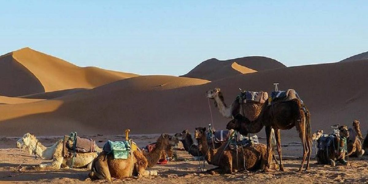 Private-desert-tour-morocco-1024x760