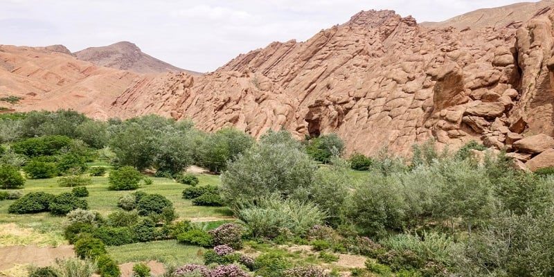 Ddes valley 3 day tour from marrakech