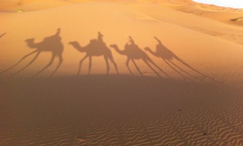sand dunes sand dunes